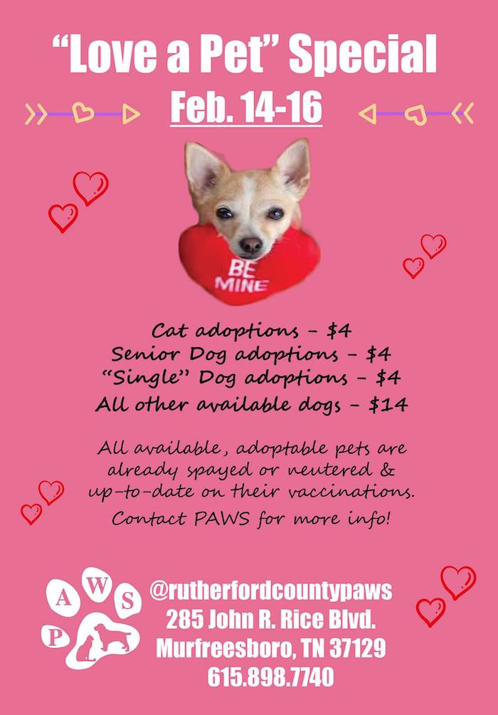Love a Pet Adoption Special