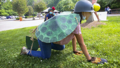 World Turtle Day