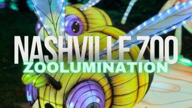 Nashville Zoolumination is a must see
